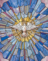 Good Samaritan Dove stained glass window design