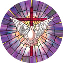 radiant dove decorative stained glass window cling film design